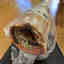 Photos des clients 1 de 5