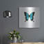 «Blue Butterfly» par PhotoINC Studio-1144051264