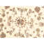 Walton Oriental Area Rug