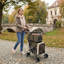 Poussette pliante pour animaux à 2 niveaux pour chiens et chats, chariot de transport pour animaux portable avec sacs amovibles et capacité de 77 lb-119784193