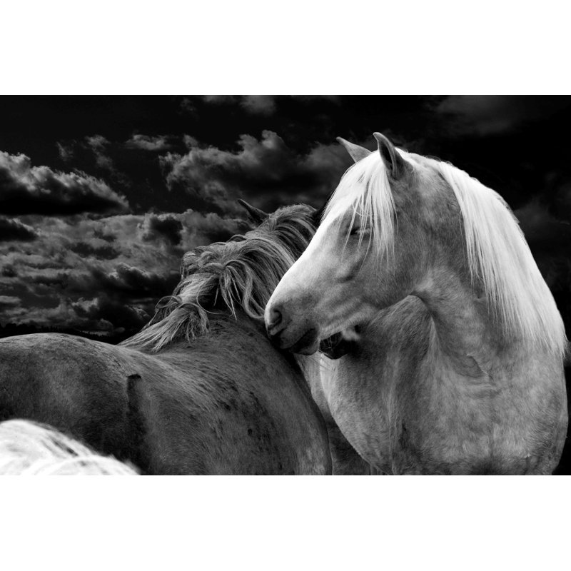 « night love » par maggie di, reproduction d’art sur toile tendue, 20 po x 30 p