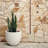 Dorlis Handmade Pot Planter-485811375-406649359