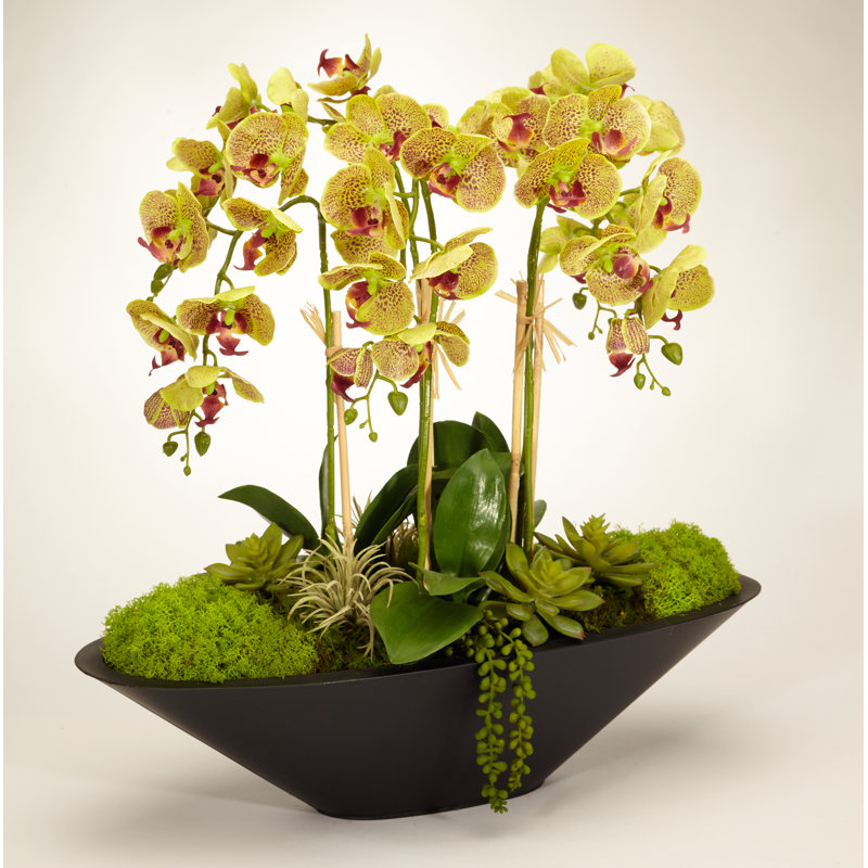 Orchid Floral Arrangement in Metal Planter, Green