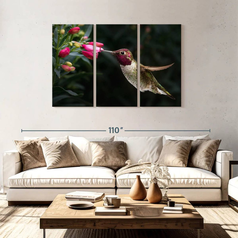 Brampt mâle, colibri d'Anna, H 48 po x l 74 po