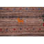 Tapis tribal Gabbeh