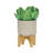 S/2 5/8" PLANTER W/ WOOD STAND, MATTE BEIGE