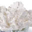 Flower Coral On Crystal Base