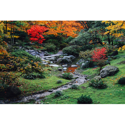 Fusco Autumn Garden by July7th - Wrapped Canvas Print