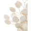 Lunaria 2 - Light Armed Sconce-136117324