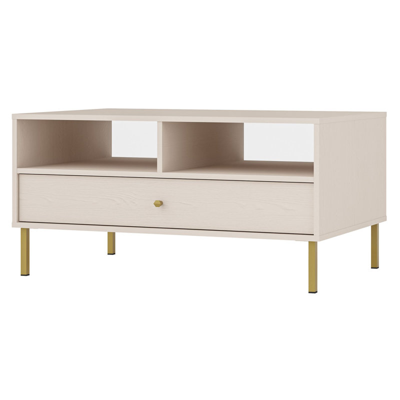 Coffee Table with Storage