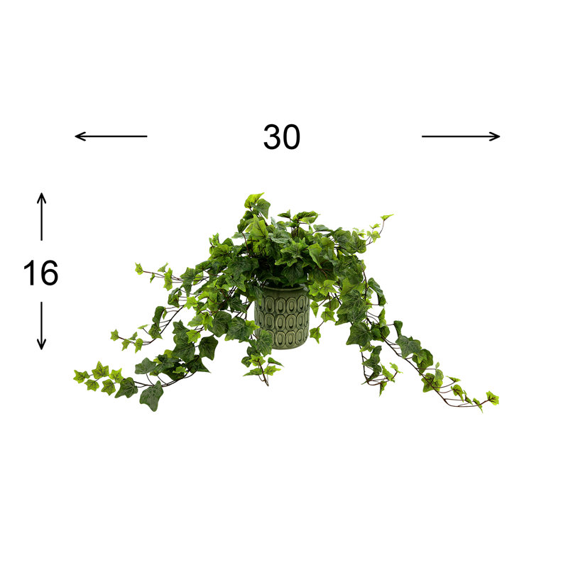 Mauldin Faux Ivy Plant in Ceramic Vase