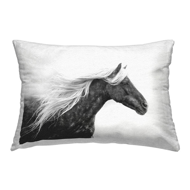 Polyester Throw Rectangular Indoor/Outdoor Pillow Cover & Insert by PHBurchett