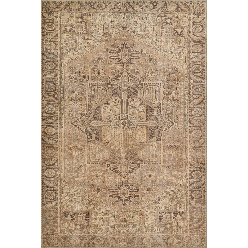 Bungalow Rose Campisi Traditional Medallion Polyester Brown Area Rug, Rectangle 3' x 5'