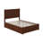 Ivor Solid Wood Trundle Bed-354215671-354215666