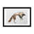 Black Framed Fine Art Paper is unavailable