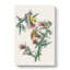 American Goldfinch Birds by John Audubon - Wrapped Canvas-55368831