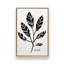 Ensemble de 4 botaniques noirs et blancs-1479030350-1479030348