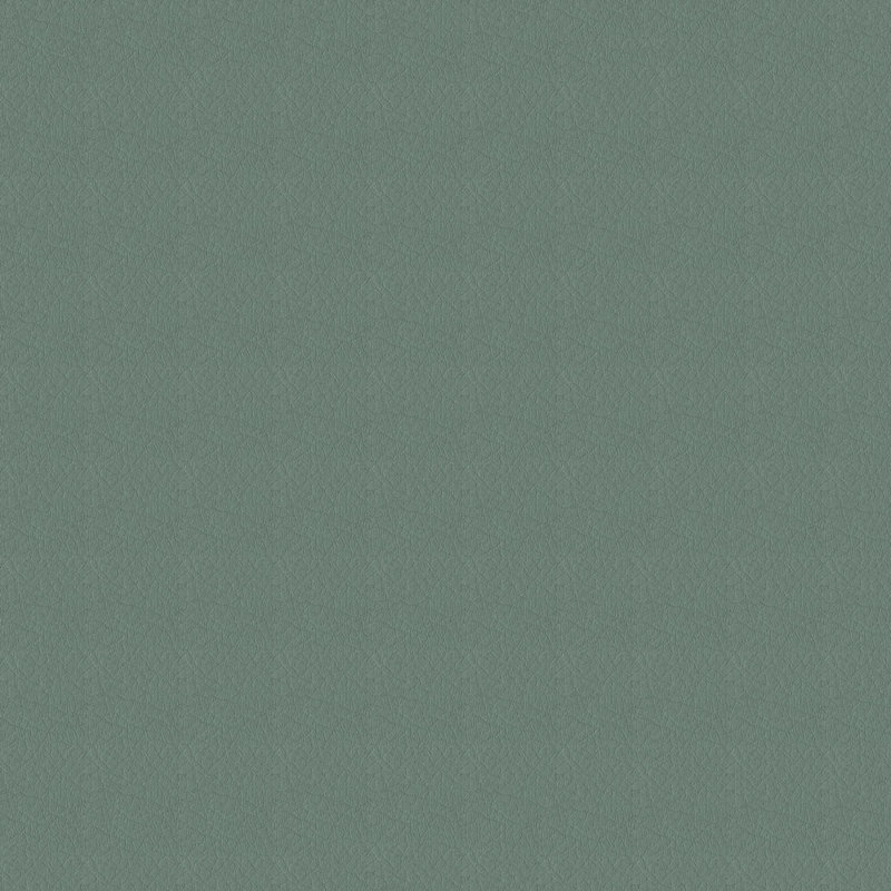 Tissu Whisper, Patina
