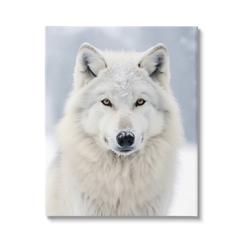«White Wolf In Snow On Canvas» par Ray Powers, reproduction, H 48 po x l 36 po x P 1,5 po
