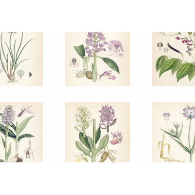 Purple Botanicals - Wrapped Canvas Art Prints