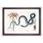 Blue Wampum Snake by Mark Catesby - Picture Frame Painting Print-55679405-55679407