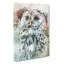Tawny Owl In Abstract - Wrapped Canvas-55341715