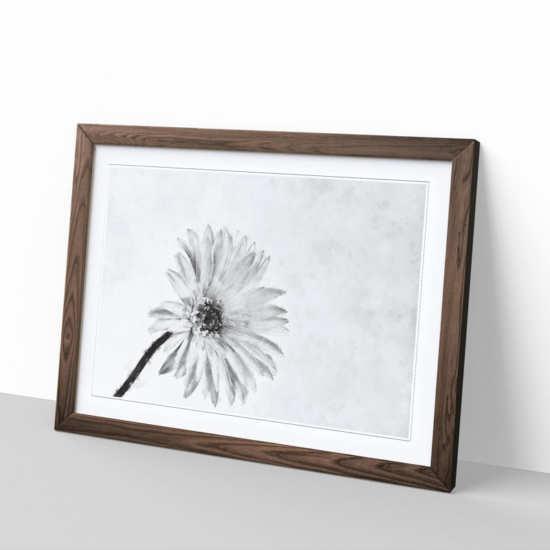 Flower Sketch - Framed Print, 24cm H x 33cm W x 2cm D, Walnut Framed