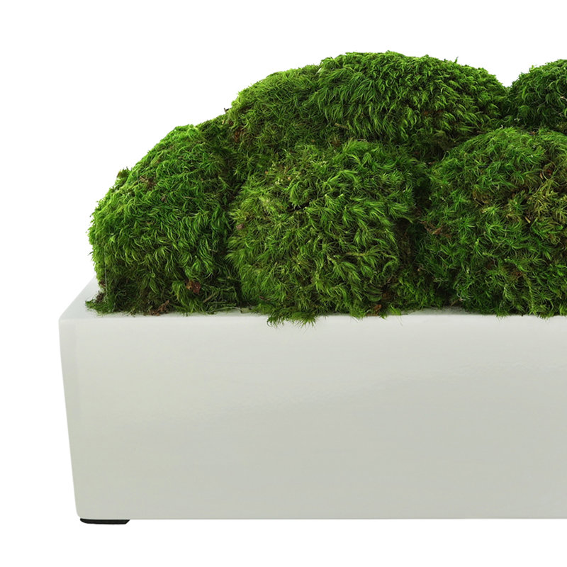 Jardinière Nature's Nostalgia Moss en Fiberstone, Blanc, H 7 po x l 16 po x P 7 po