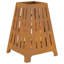 Campfire Fire Pit-1033286634