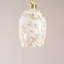 24.5 cm H Dome Glass Lamp Shade ( Clip On )-1709478952