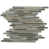 Shell Gray