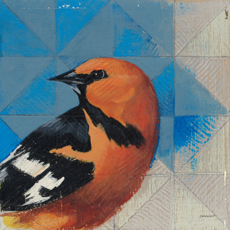 Oriole, H 36 po x l 36 po, Non, Toile tendue