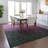  Machine Washable Indoor/Outdoor Chayden ACN1066 Rug-240418410