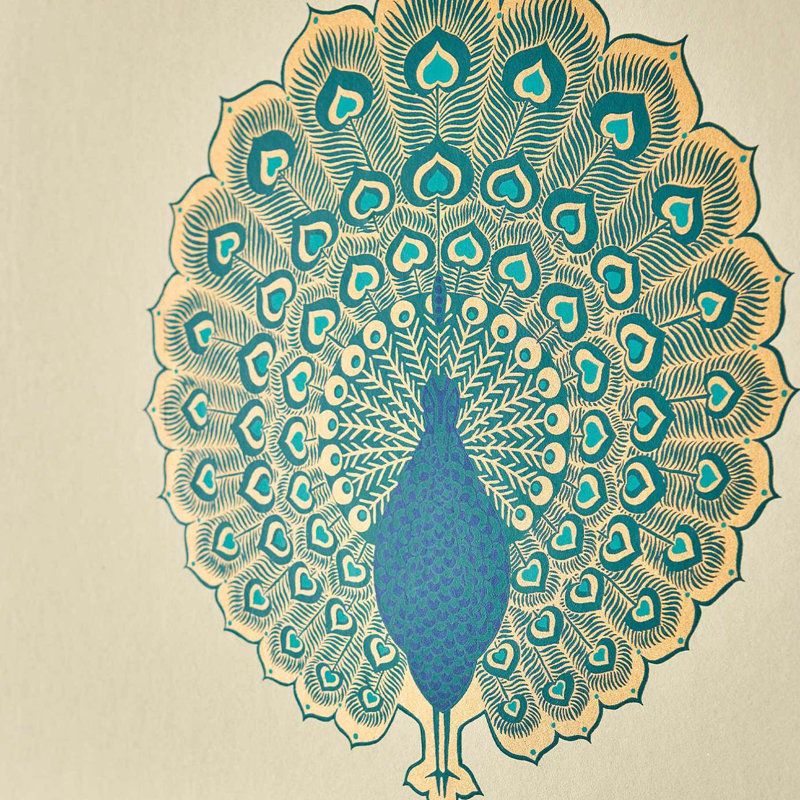 Kalapi Wallpaper, Peacock