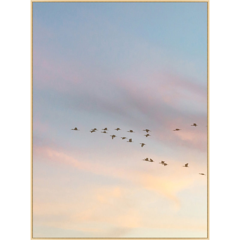 Sunset Flock 1 Print by Lillian August