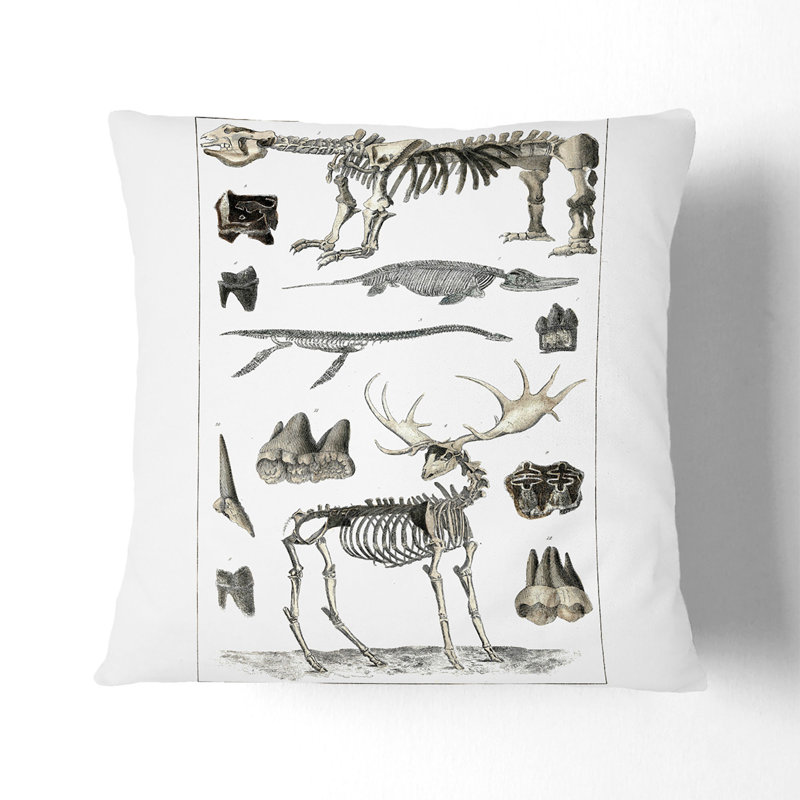 Square Throw Cushion, Stone, 40cm H x 40cm W x 15cm D