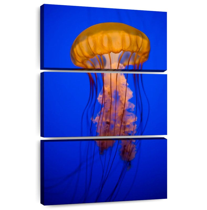 Brampt Gold Sea Nettle Jellyfish, 57" H x 36" W