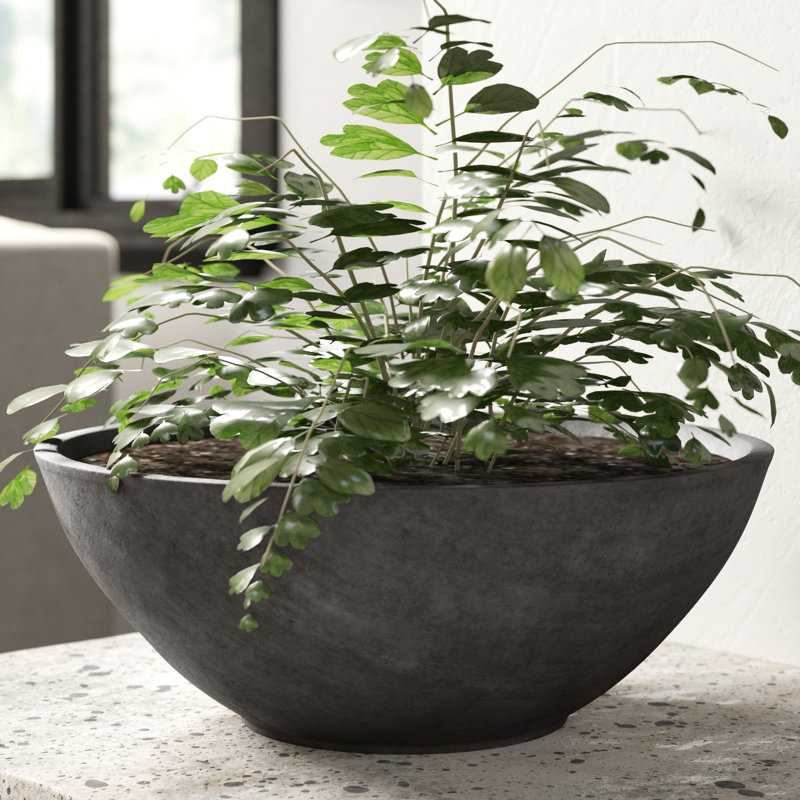 Pot à fleurs Haven, Anthracite foncé, H 4,5 po x l 12 po x P 12 po