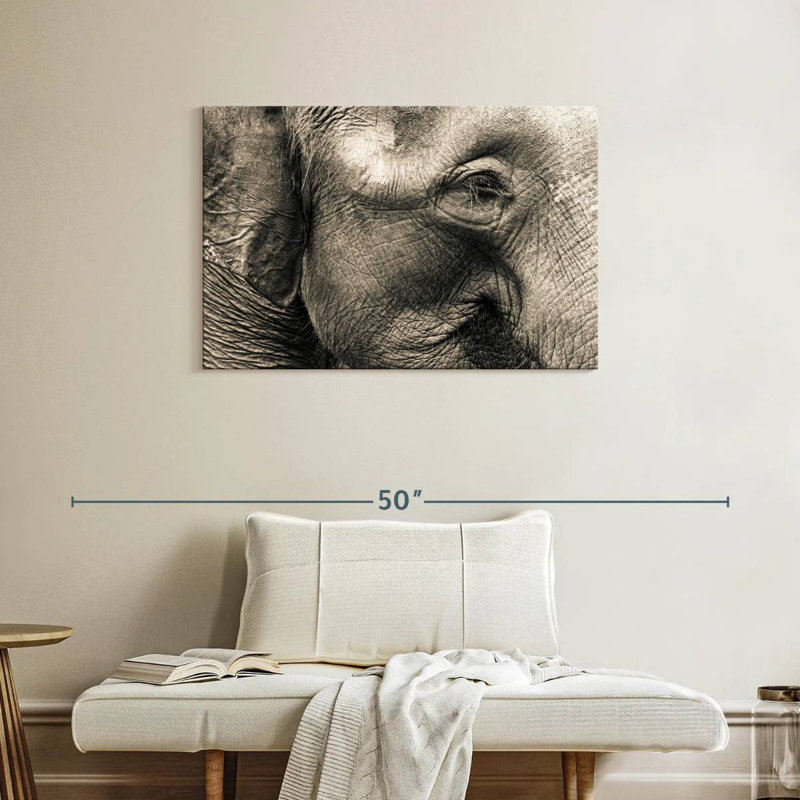 Visage d'éléphant Brampt, H 24 po x l 36 po