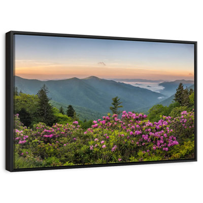 Blue Ridge Mountains View