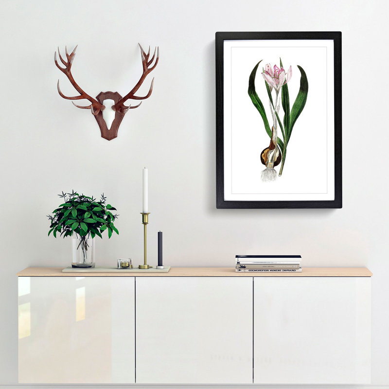 Autumn Crocus Flowers Illustration - Framed Print, 33cm H x 24cm W x 2cm D, Black Framed