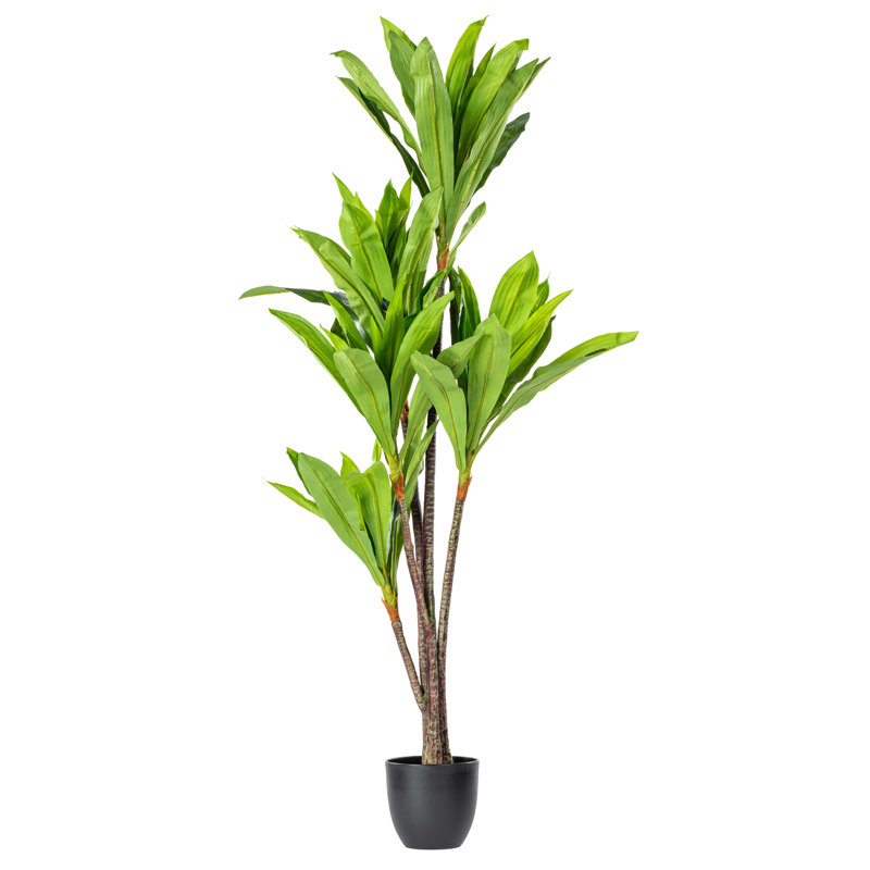 Elegant Silk Touch 63" Dracaena Outdoor Potted Floor Plant