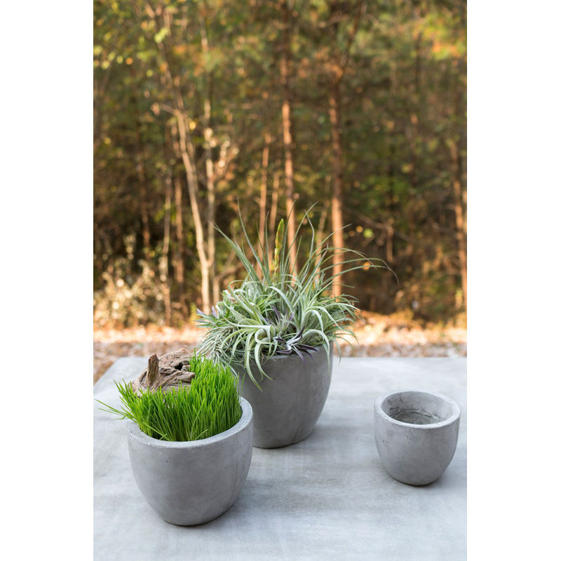 Trixie Newport Pot, H 7 po x l 7,8 po x P 7,8 po