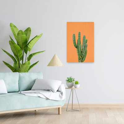 Art contemporain contemporain avec plante grasse