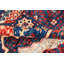 Aryana Wool Oriental Area Rug
