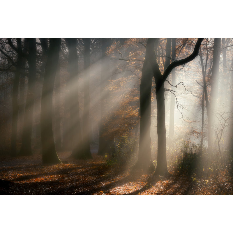 Wrapped Canvas Print, 50.8cm H x 76.2cm W