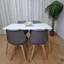 Zane 4 Person Modern Dining Table Set-183321891-183321892