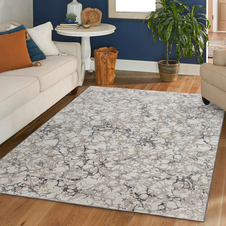 Chardarius 1240 Transitional Marbled Gray Area Rug