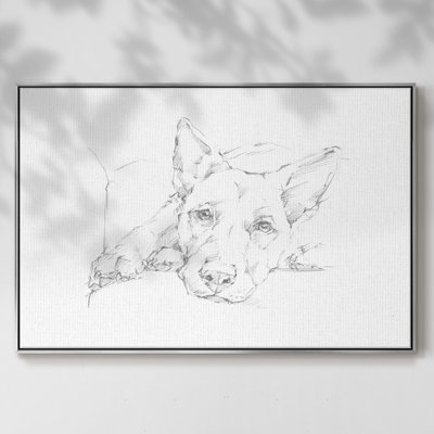 Lazy Dog IV