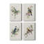 «Spring Song Blue Bird», ensemble de 4 toiles tendues-1169288315